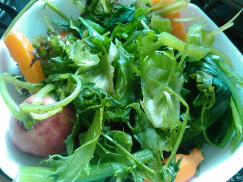 2種リーフレタスと葉付きにんじんラディッシュサラダ